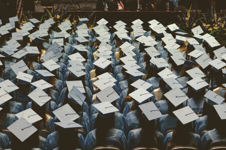 Large group of graduates wearing caps from behind