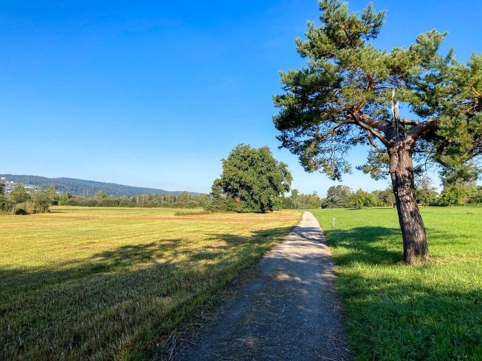 A gravel path running through green fields under a blue sky. 