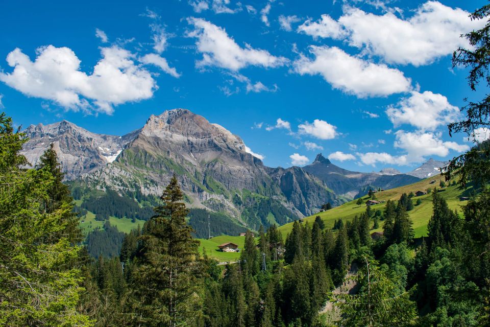 Alpine view of fields, trees, and mountains under a blue sky