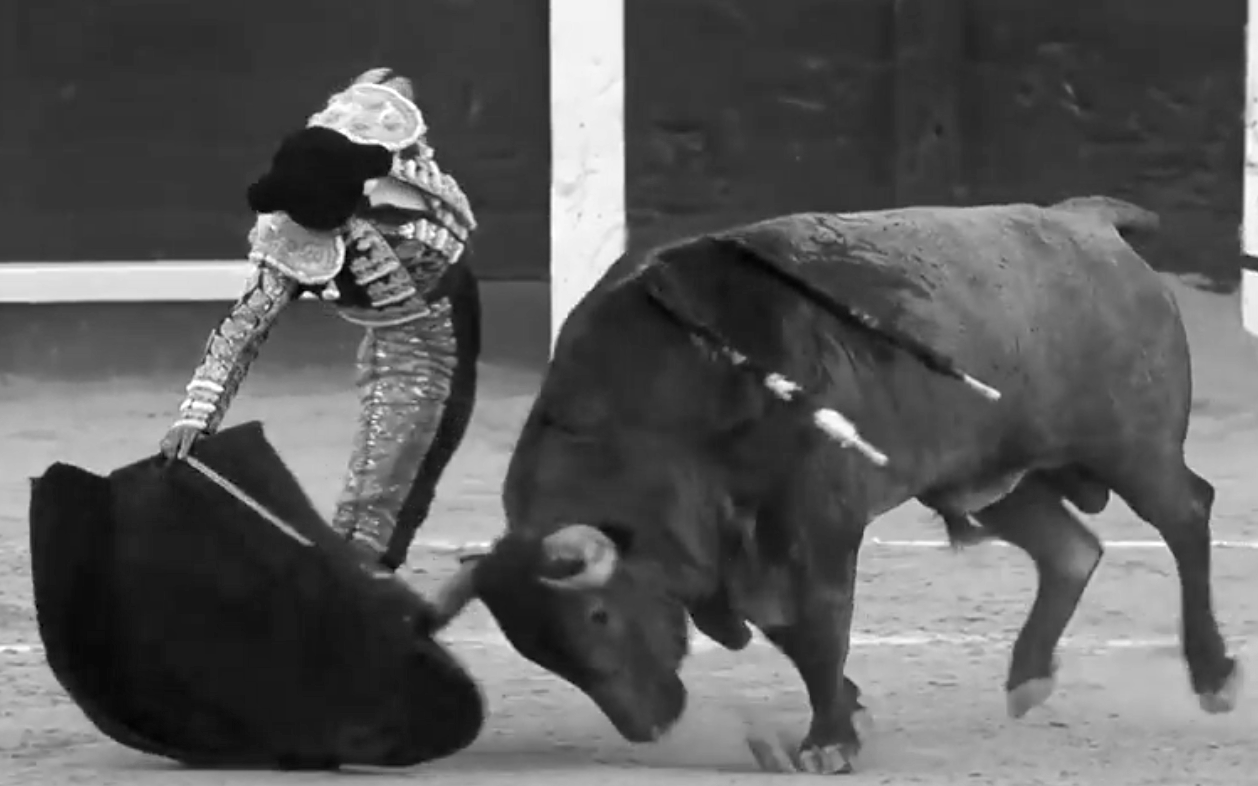 Los toros que obligan a pensar