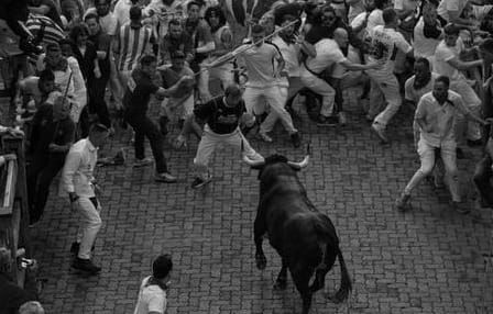 EL TORO EN EL CAMINO