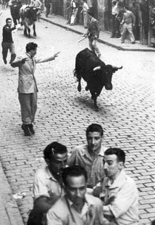 EL TORO EN EL CAMINO
