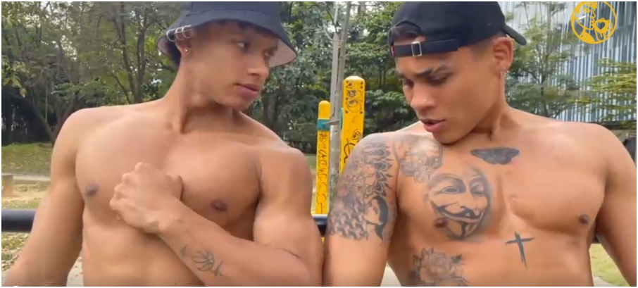 splendid Latin stallions perform with their magnificent bodies.