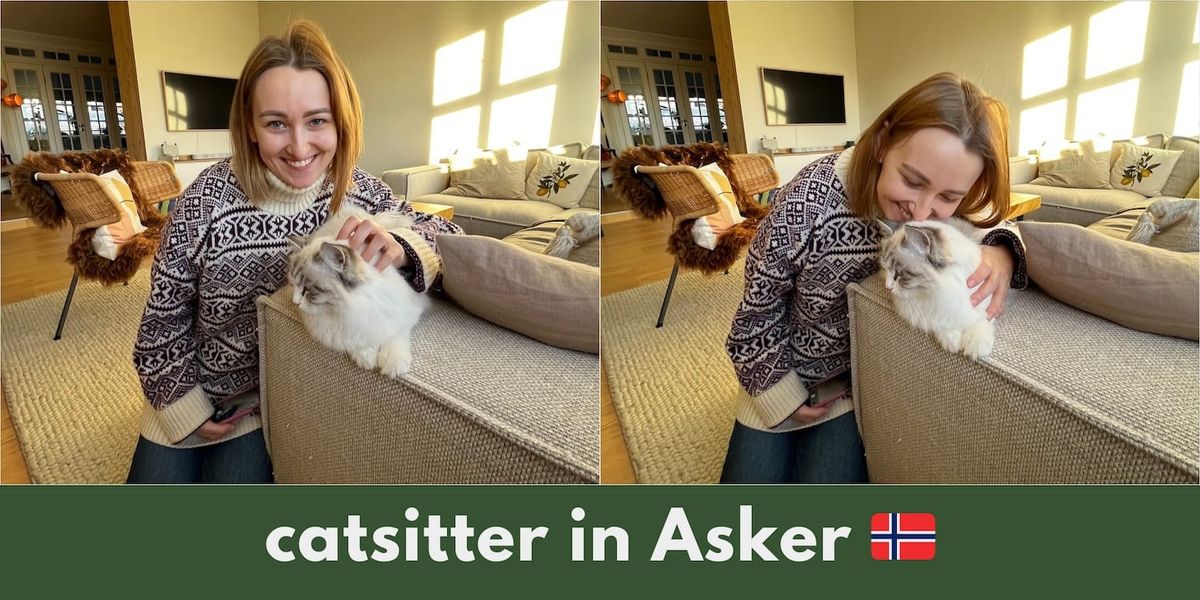 Catsitters Asker