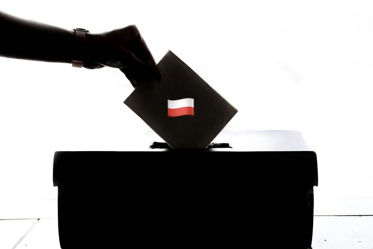 Jak głosować w Norwegii? Wybory prezydenckie 2025. Jak się zapisać? + lista lokali wyborczych 🇳🇴