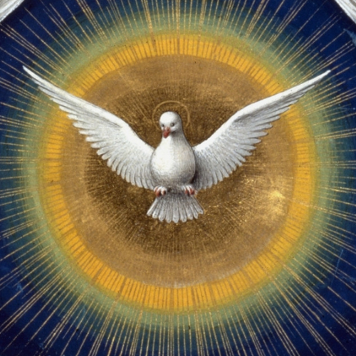 Os 7 dons do Espírito Santo explicados por Papa Francisco
