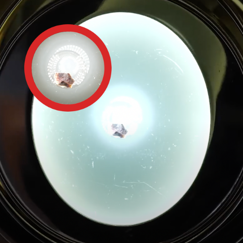 O incrível milagre eucarístico que ocorreu no Natal de 2013: “Músculo de alguém em agonia”