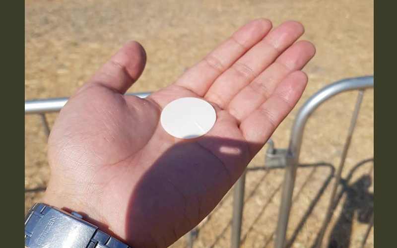Jovem encontra hóstia consagrada no chão depois da missa de envio na JMJ