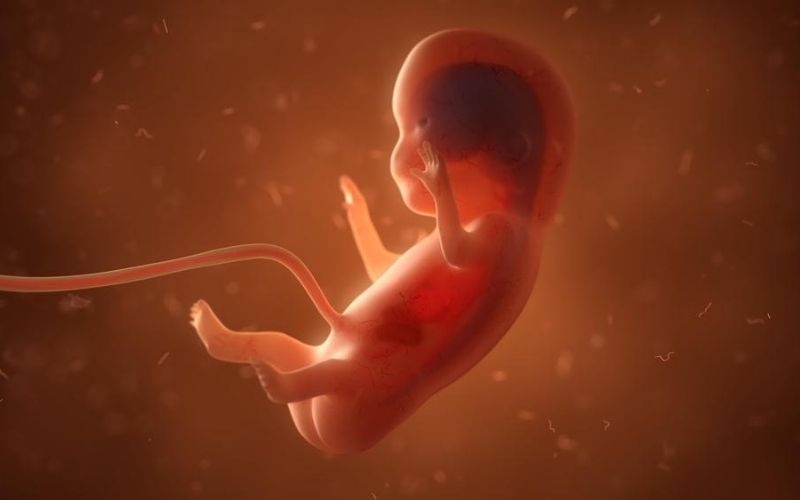 Templo satânico oferece aborto como "prêmio" de rifa