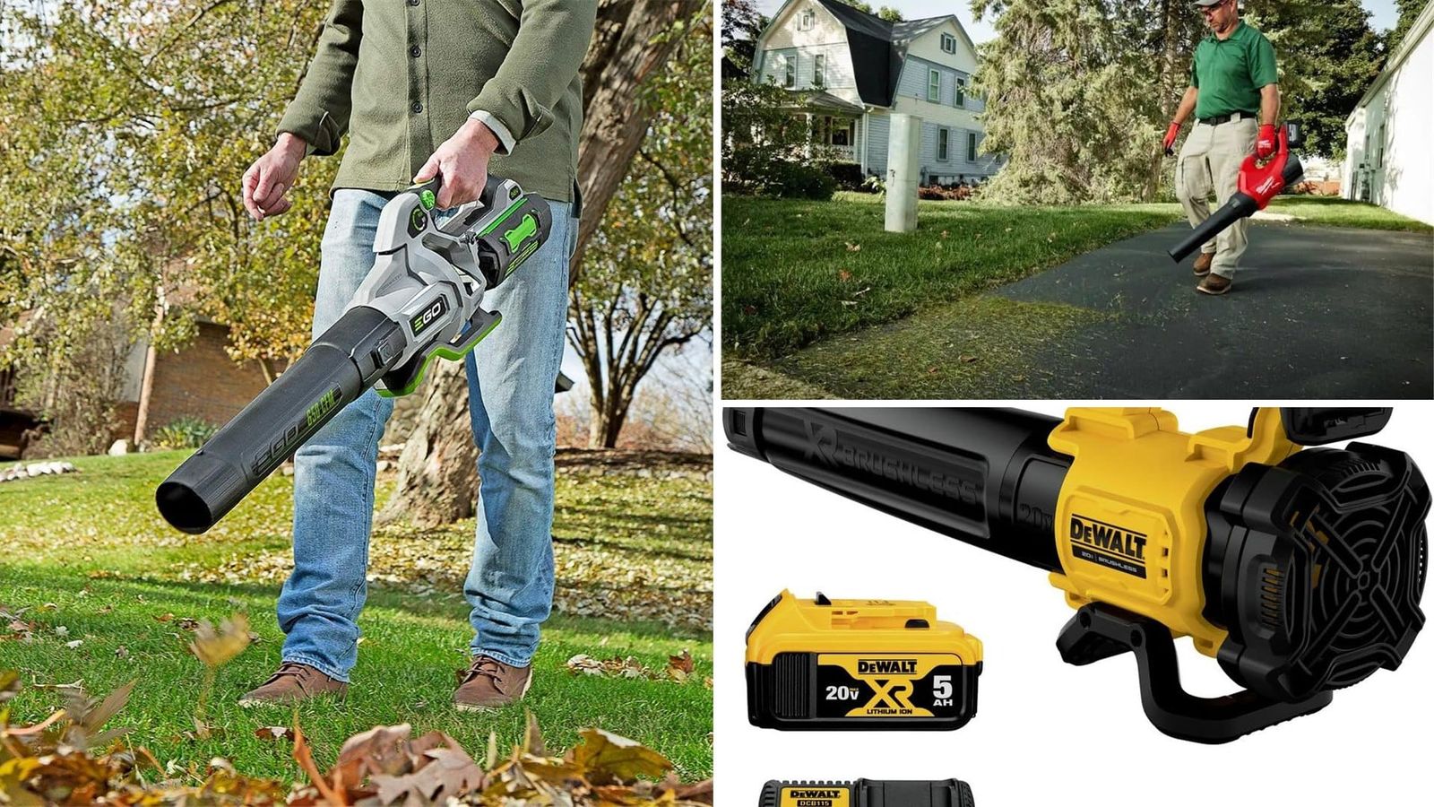 Cordless Leaf Blower for Wet Leaves: 4 Best Options in 2026