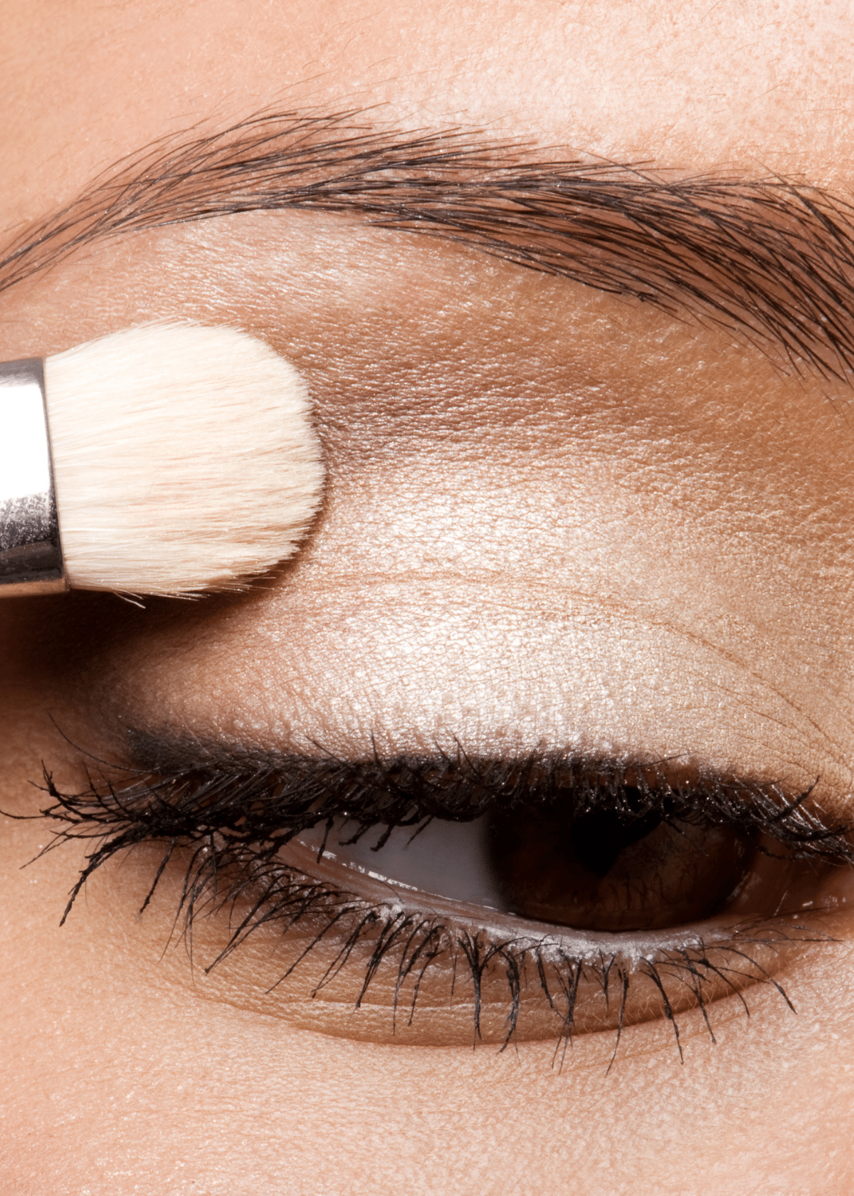 Long Lasting Eyeshadow: The Best Eye Primer For Oily Lids