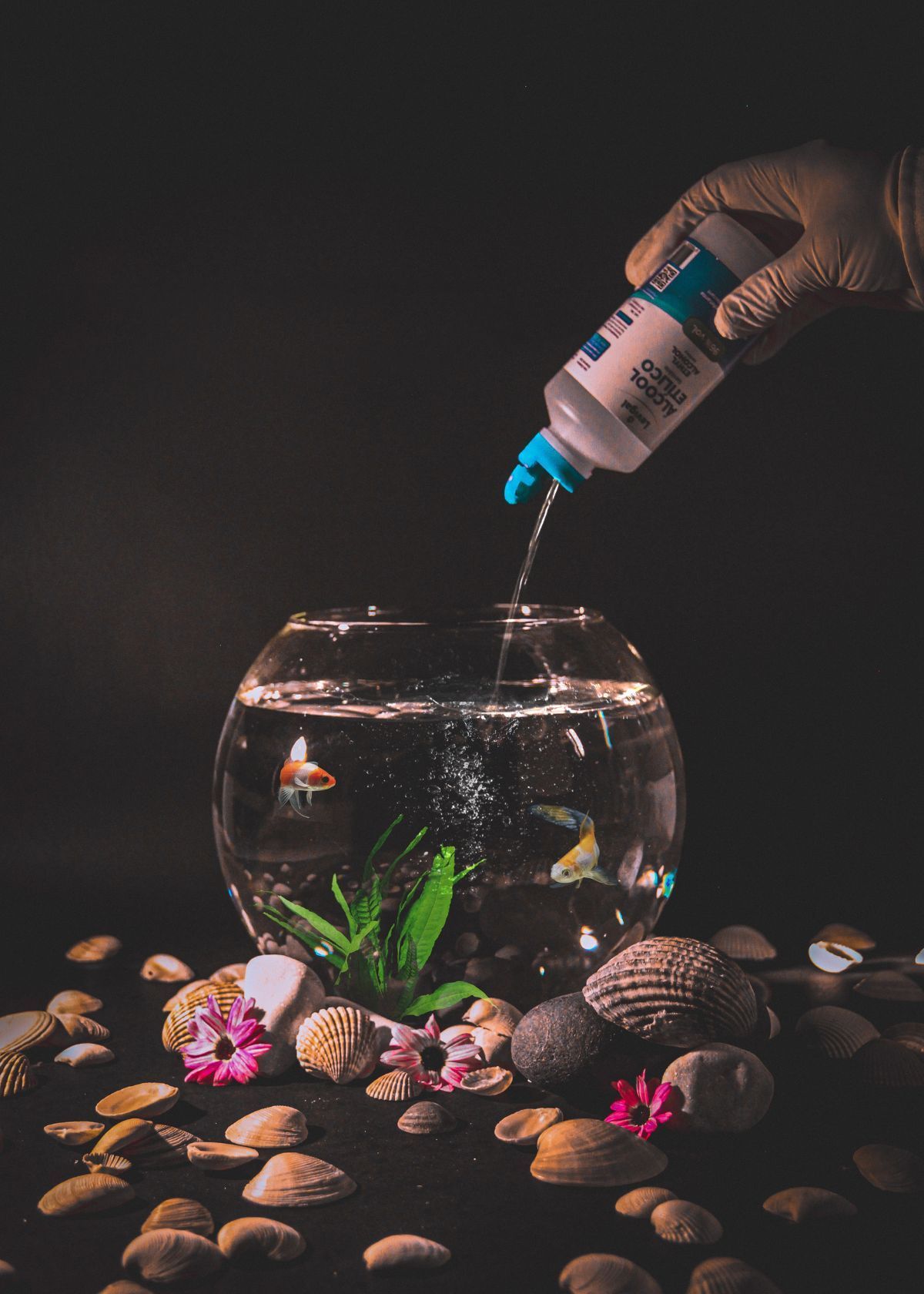 Keep Your Fish Tank Clean - Not Just for Show!