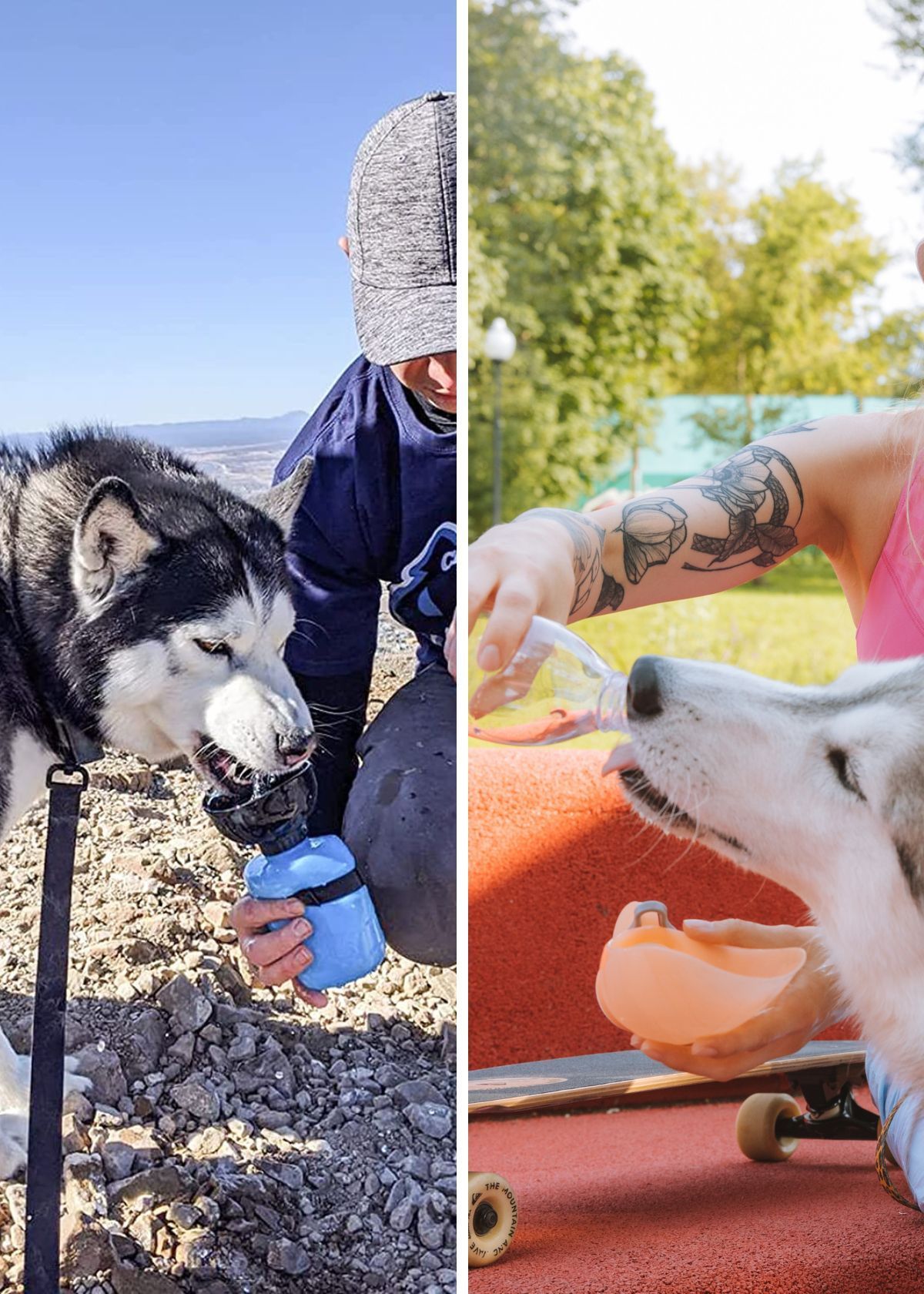 Get Your Paws on the Coolest Dog Water Bottles: Discover the Fur-tastic Benefits!