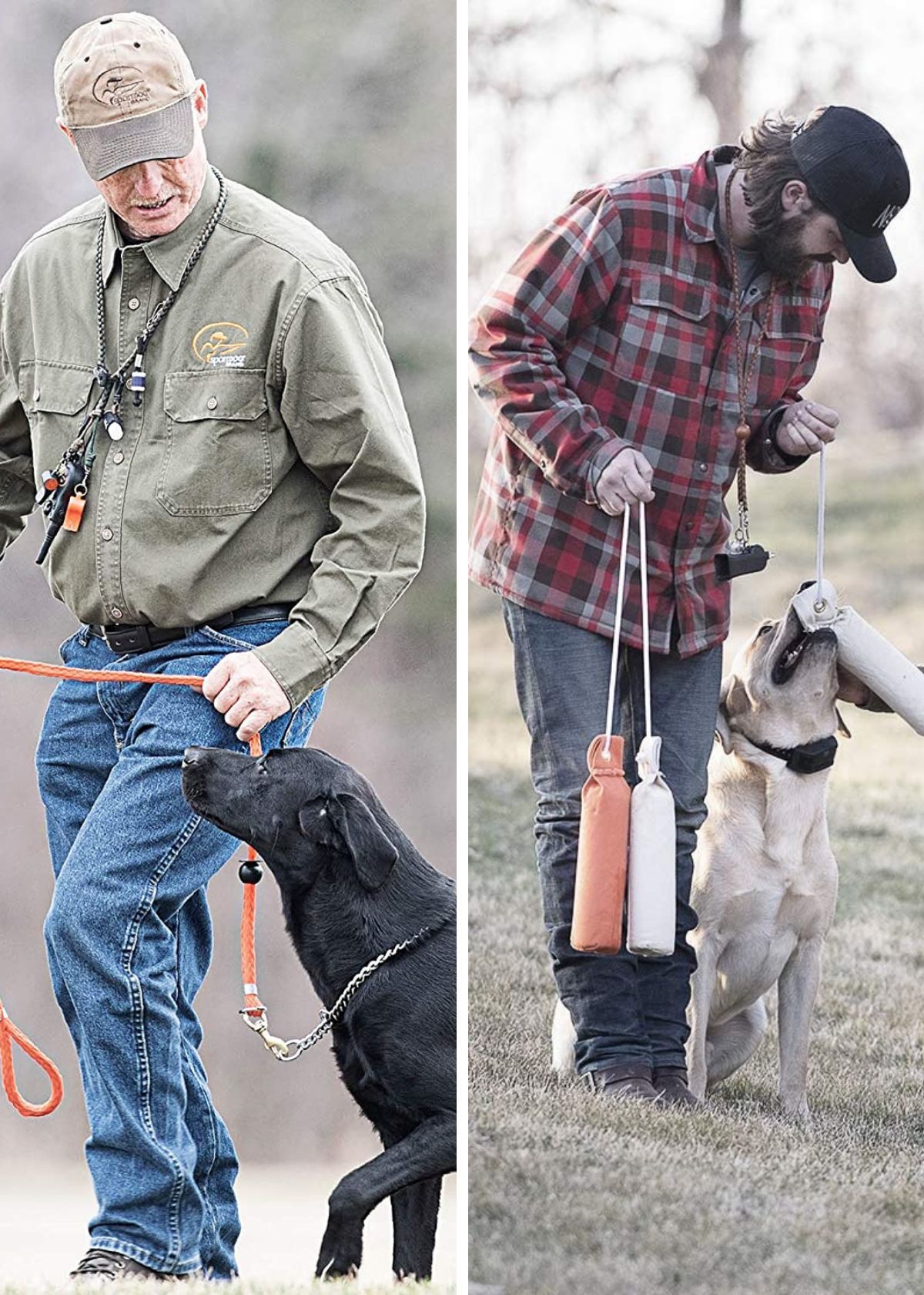 Get Your Pup's Attention: Our Top 5 Dog Training Whistles!