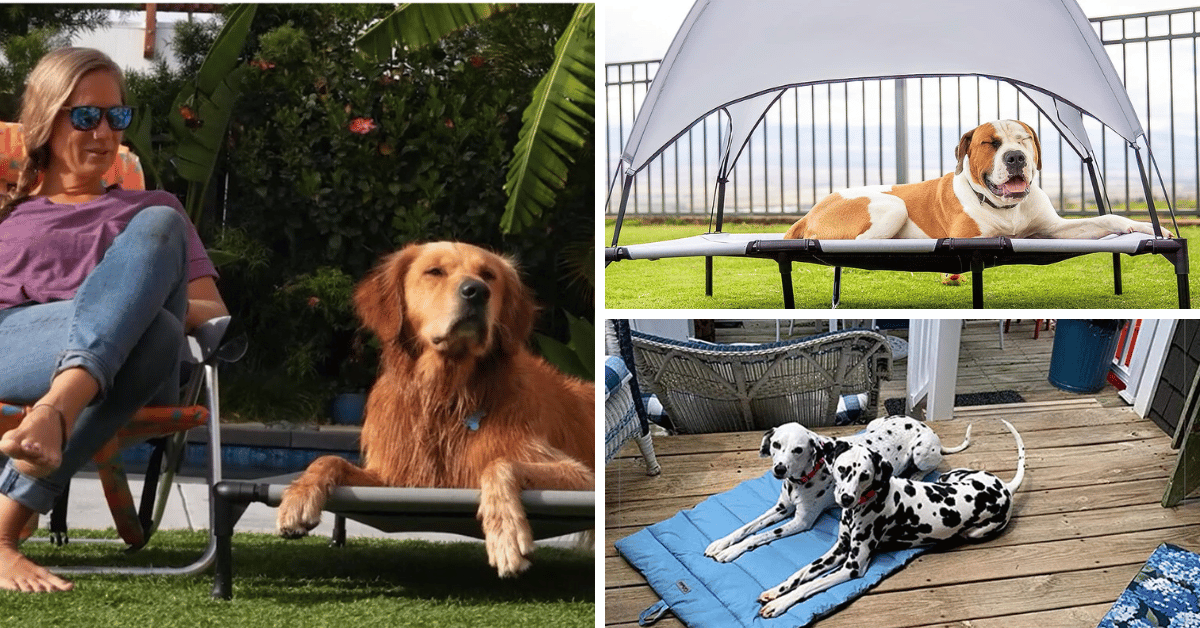 The Best Outdoor Dog Beds To Keep Your Pooch Cozy!