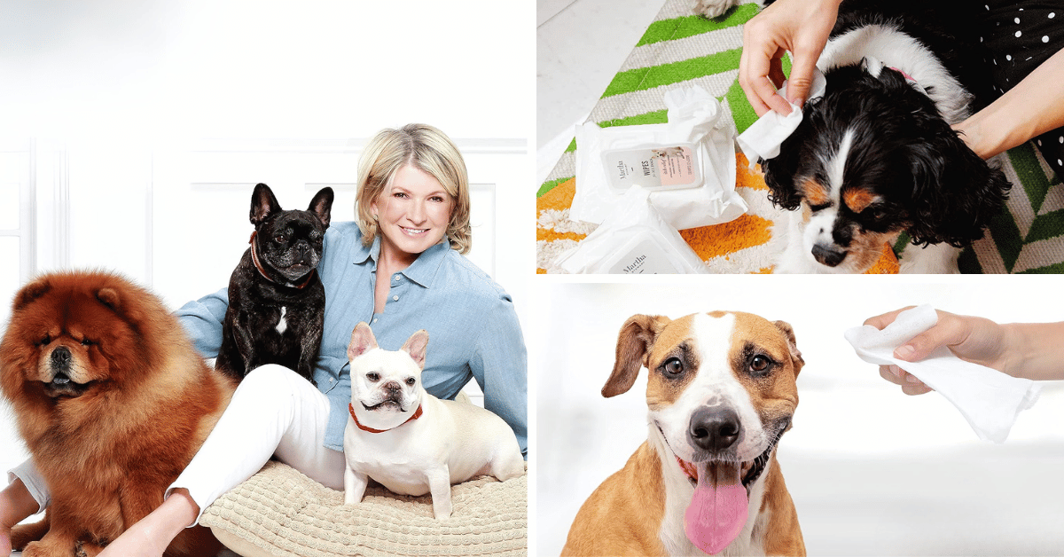 Top 5 Allergy Wipes To Soothe Your Pup's Skin!