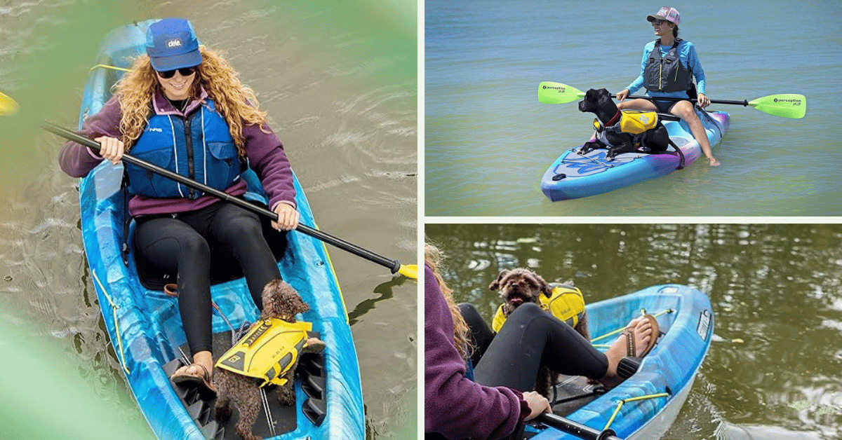 Exploring The Top 5 Dog-Friendly Kayak Options!