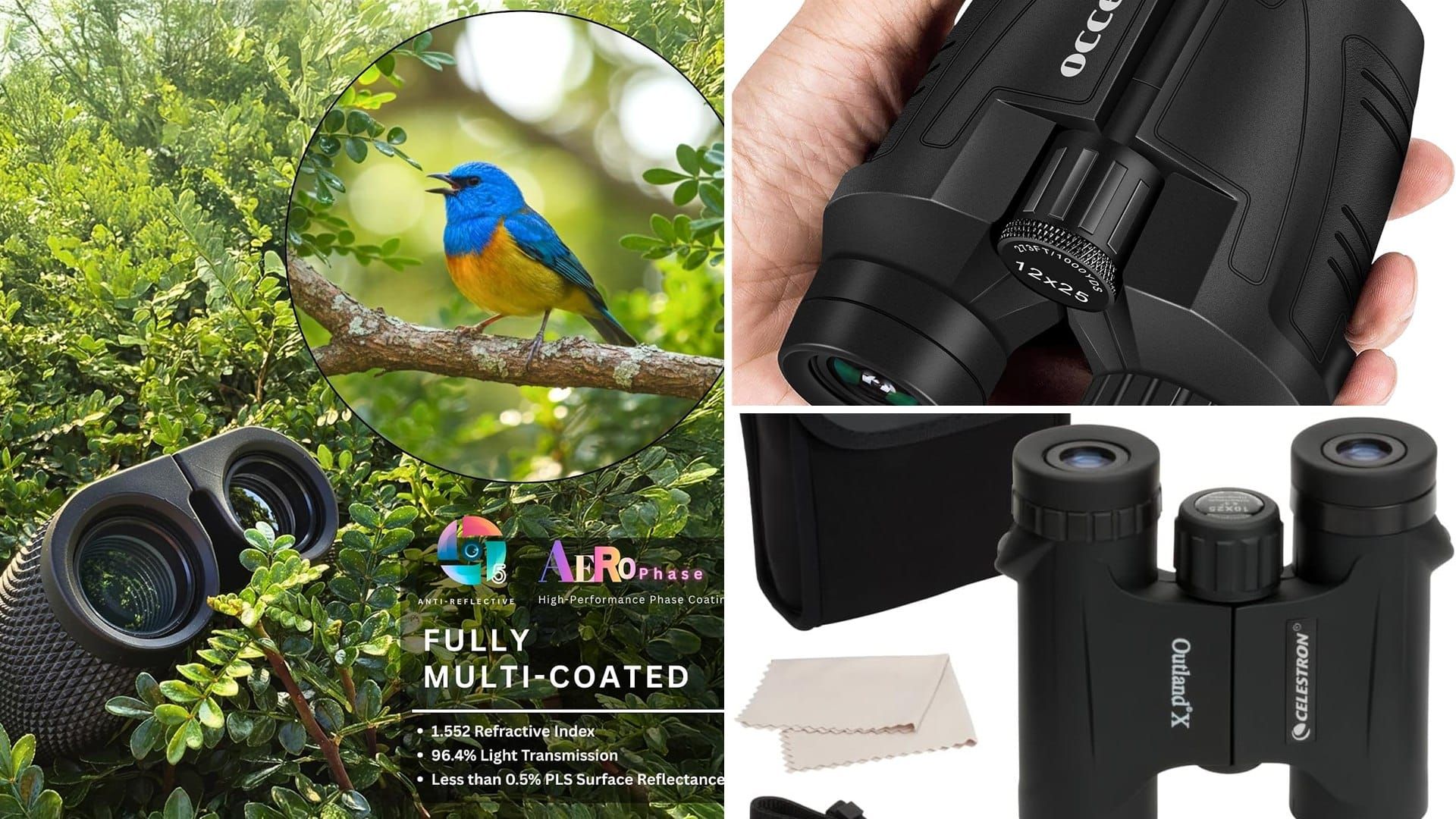 Compact binoculars in a hand next to a bird view