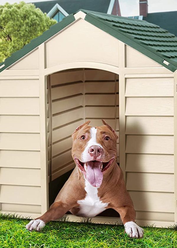 Keeping Your Dog House Cozy in the Winter Months