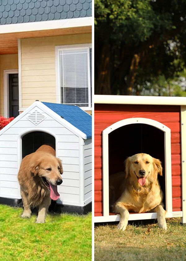 The 5 Most Pawesome Outdoor Dog Houses For Your Furry Friend!