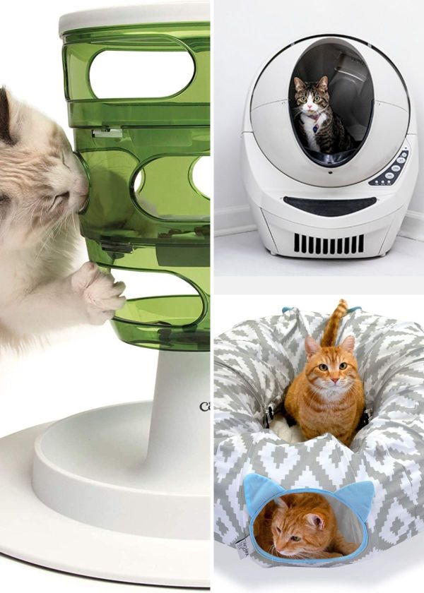 25 Purrfectly Unique Amazon Finds For Cat Lovers!