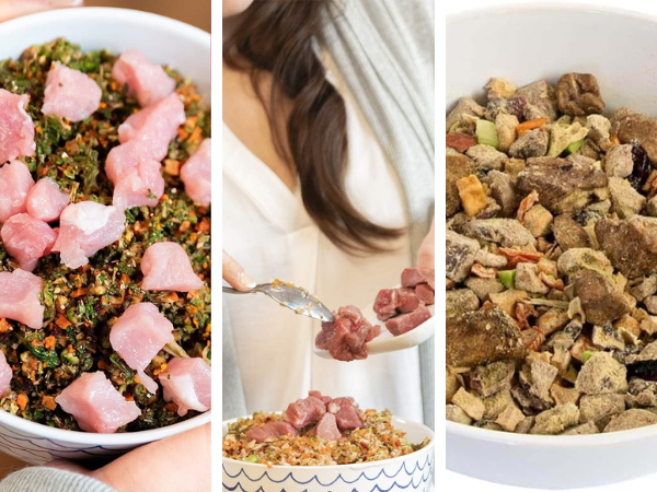 The Ultimate Guide To 5 Star Dehydrated Dog Foods!