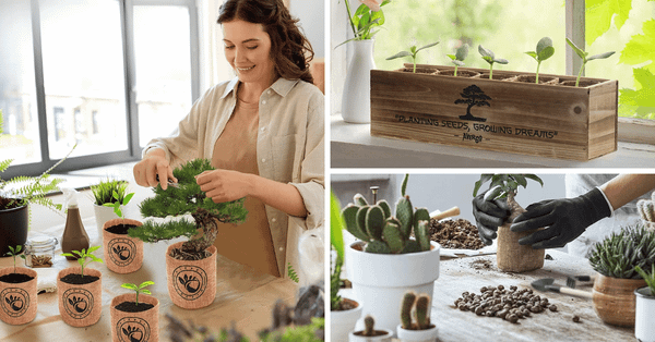 Elevate Your Gardening Skills With These Top 5 Bonsai Tree Kits!