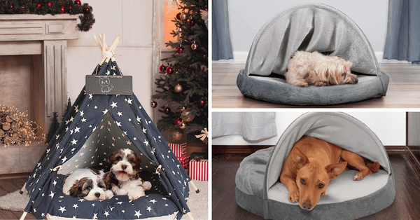 No More Ruff Nights With The 5 Best Dog Tent Beds!