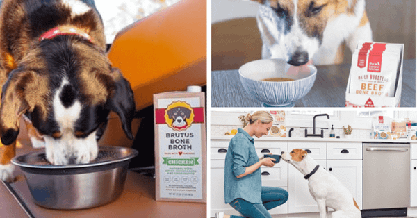 5 Must-Try Bone Broths For Your Furry Friend!