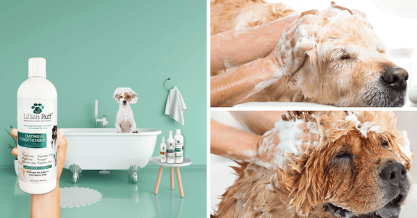 5 Best Dog Conditioners For A Luscious Coat!