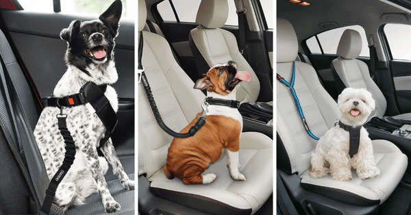 Trap In Your Furry Co-Pilot: The 5 Must-Have Dog Seat Belts!
