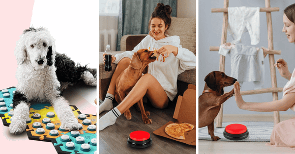 Teaching Your Pooch To Talk With These Top 5 Buttons!
