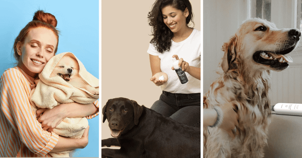 Meet The 5 Best Dry Shampoos For Your Furry Friend!
