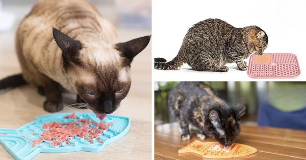 Kitty Approved! The 5 Best Cat Lick Mats!
