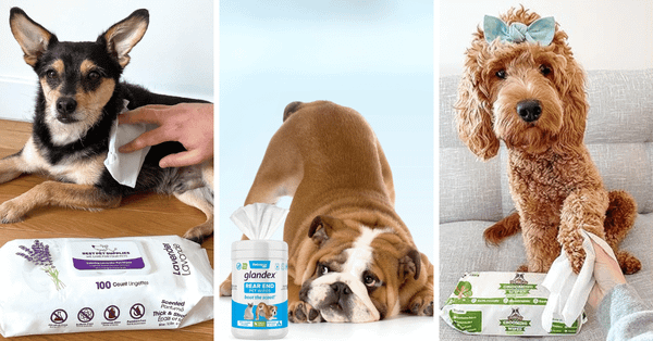 No More Ruff Times With These Top 5 Doggy Booty Wipes!