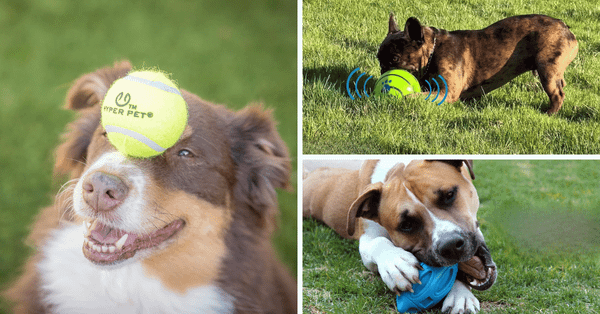 The 5 Best Dog Balls That'll Make Your Dog Say "Woof Woof"