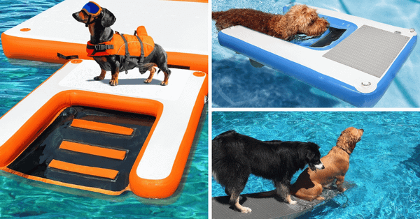 Making A Splash With The 5 Best Dog Pool Ramps!
