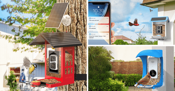 Explore The Top 7 Smart Bird Feeders For Nature Lovers!