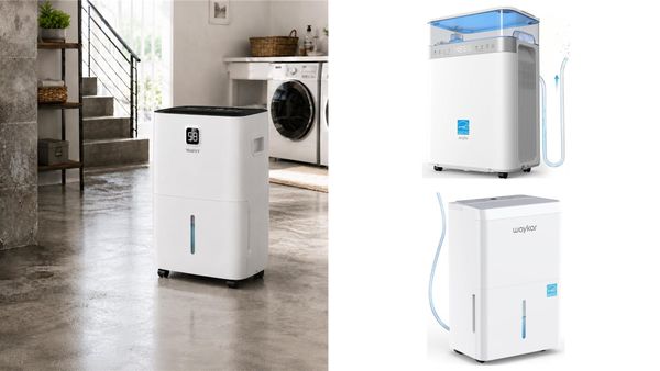 Best Dehumidifier for Basement With Drain Hose 2026: 5 Picks With Pumps