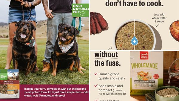 Best Dehydrated Dog Food 2026: 5 Picks, From Trial Bags to Big Boxes