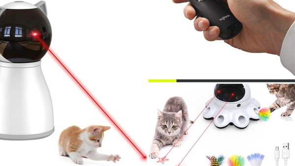 Best Laser Pointer 2026: 5 Picks for Presentations and Cats