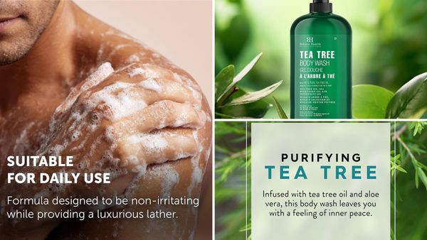 Best Tea Tree Body Wash 2026: 5 Picks for Fresh, Clean Skin