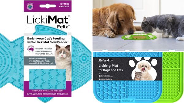 Cat Lick Mat 2026: 5 Best Picks for Wet Food, Grooming and Calm