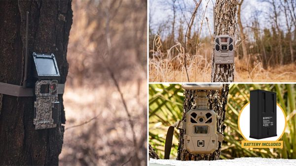Cellular Trail Camera With Solar Panel: 3 Best Options in 2026