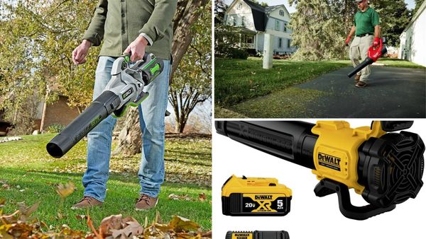 Cordless Leaf Blower for Wet Leaves: 4 Best Options in 2026