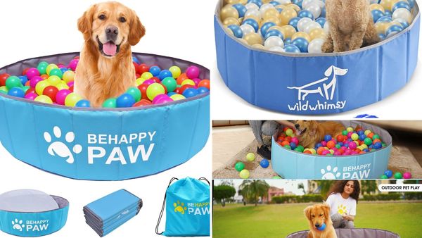 Dog Ball Pit 2026: 4 Foldable Picks and the Ball Size to Buy