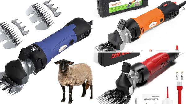 Sheep Shears: 5 Best Electric and Hand Picks for 2026