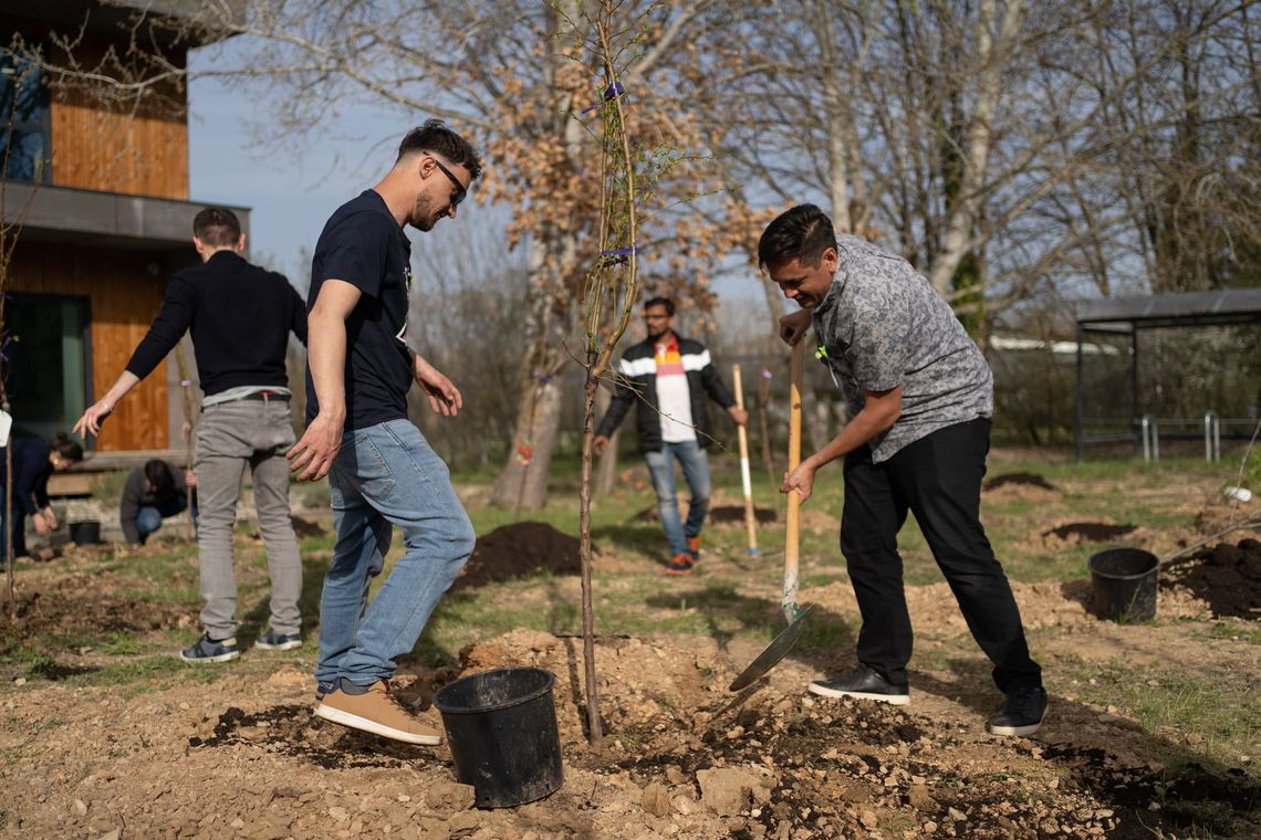 Notre offre : Formations