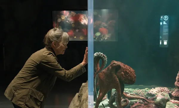 ‘Remarkably Bright Creatures’ is a Remarkably Heartwarming Film About Loss and Healing