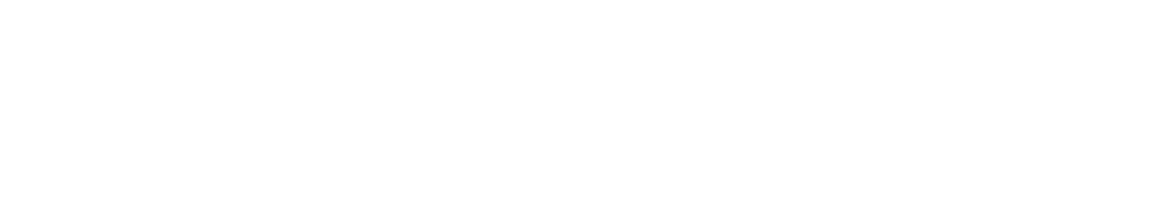 Perspection Data